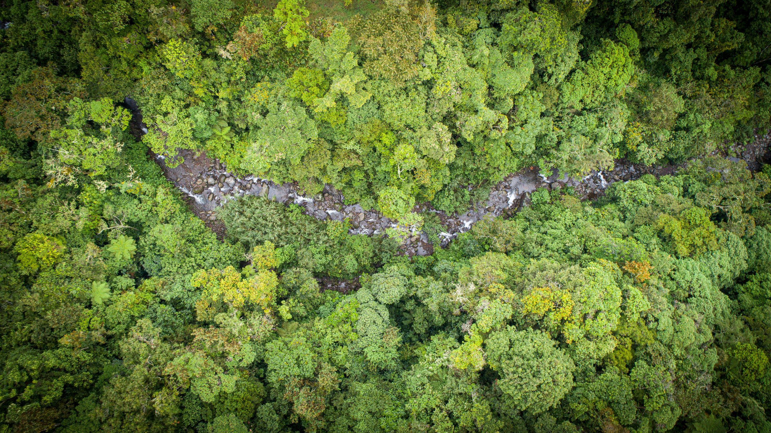 Guayabo Lodge in Santa Cruz, Costa Rica